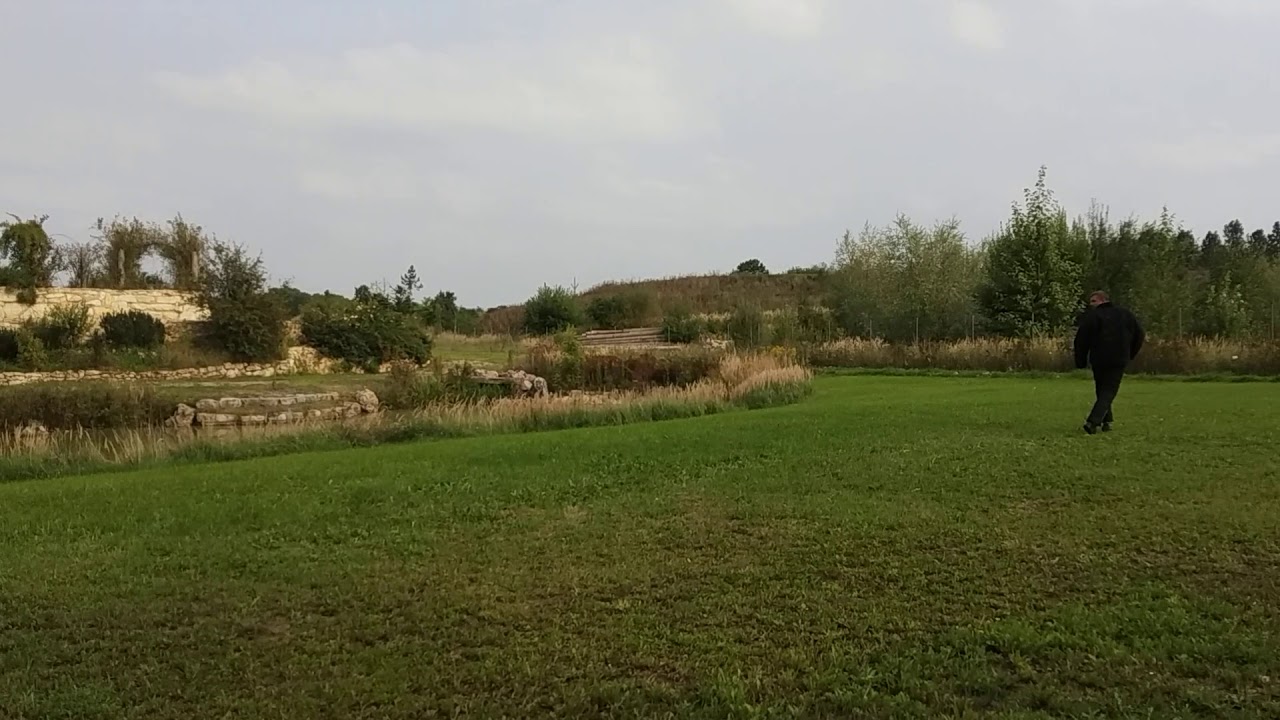 Výcvik psů z letiště(2)