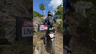 Gold in ACTION LIVEmaniacs, Via Ferrata Section: RBR LIVEnews 2024