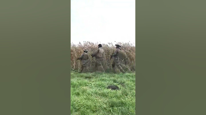 "Як козаки БНР звільняли" Сучасна версія 😎