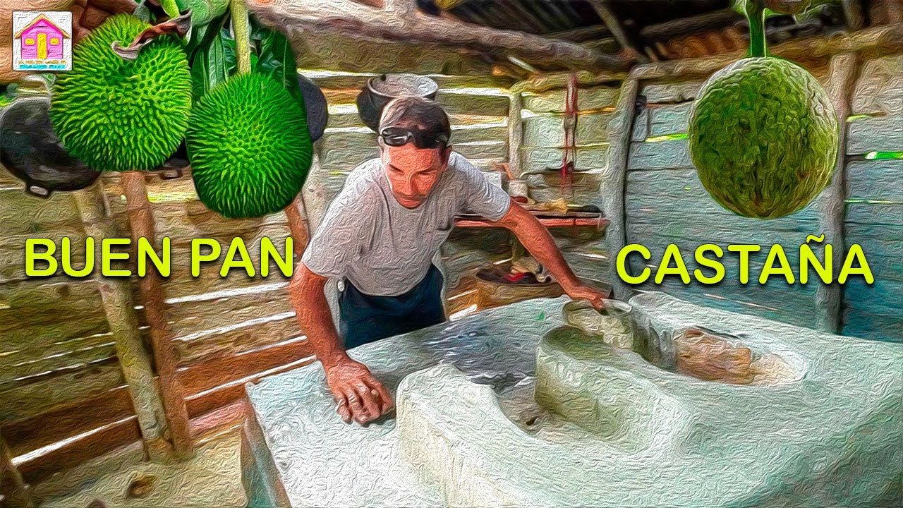 En este campo me ENSEÑARON A PINTAR UN FOGÒN con tierra blanca