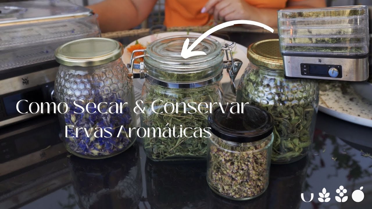 Como Secar e Conservar Ervas Aromáticas - YouTube