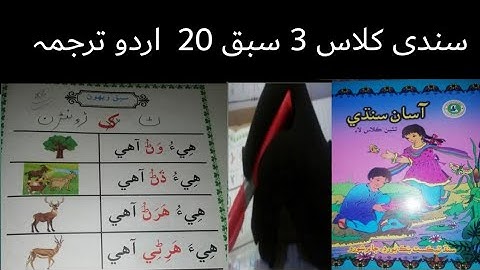 sindhi class 3|sindhi class 3 lecture 20|sindhi class 3 chapter 20  urdu tarjuma and solve exercises