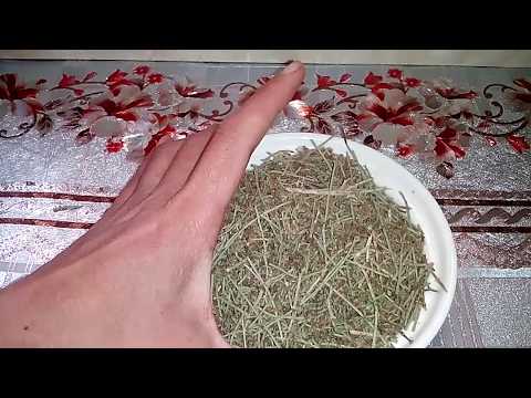 عشبة الرمث الاحمر لعلاج العقم و اختلال الهرمونات الوصف مهم