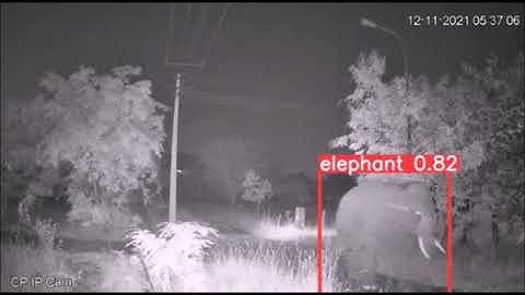 AI - EWS - Early Warning Systems for Elephant Identification