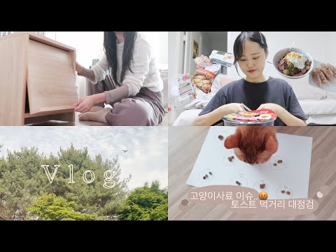 VLOG <strong>얼레벌레</strong> 돌아가는 나의 첫 자취일상👻 | 혼자만의 시간도 적응이 필요해 | 고양이 사료 이슈로 인한 사료 재점검!