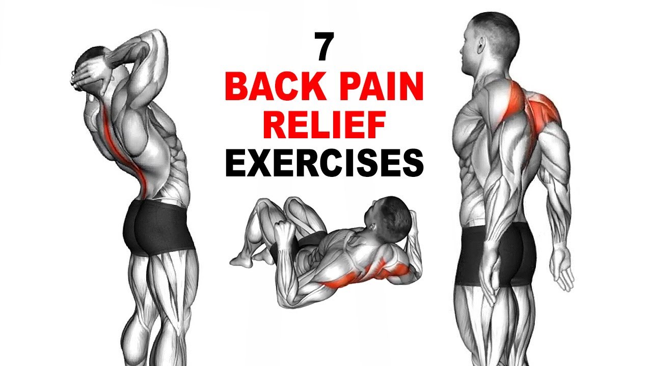 Exercises for Back Pain Relief - YouTube