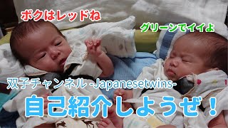 【赤ちゃん動画】自己紹介しようぜ【双子チャンネル-Japanesetwins-】