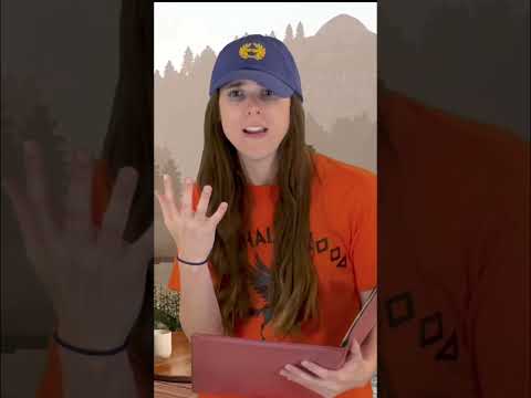 Camp half blood incident reports: cabin 11 edition #percyjackson #booktok #heroesofolympus #pjo