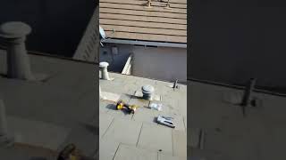 BUSTED! Pest Control Companies MISS This HUGE Roof Rat Entry Point (DIY Fix Too!) by Zepol Labs Pest Control 54 views 1 year ago 2 minutes, 14 seconds