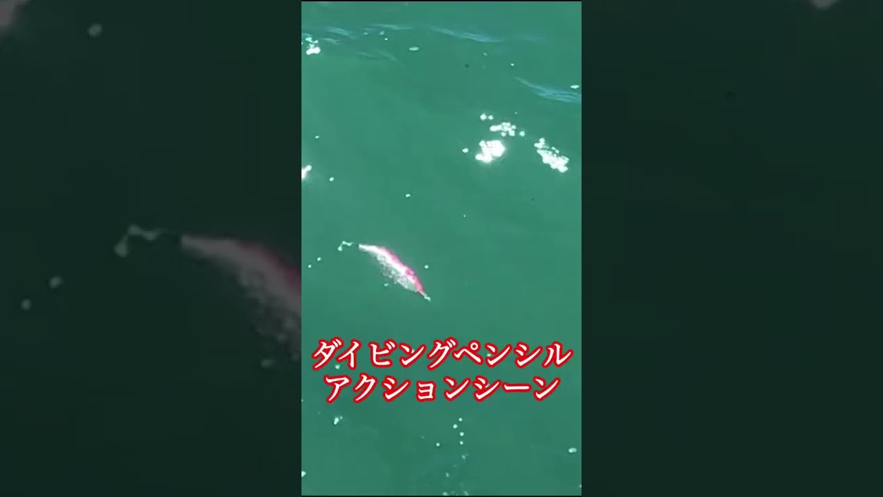 ハンドメイドダイビングペンシル Brisk 160 アクションシーン Youtube