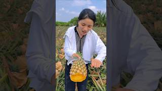 Amazing sweet & juicy pineapple 🍍🍍 harvest from garden by Rural Farmer #pineapple #fruit