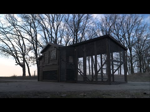 Курятник зі зручностями на 10 кур, видео 2