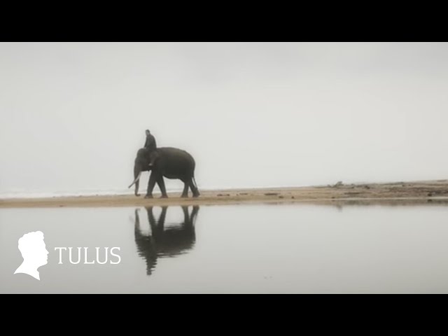 TULUS - GAJAH