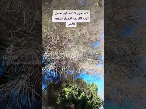 المسحور لا تستطيع تحمل سمع الايه دي اختبر نفسك كده 