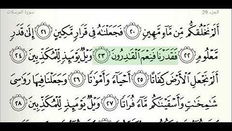 سوره المرسلات  للشيخ هاني الرفاعي