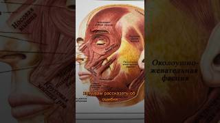 Ошибки многих массажистов