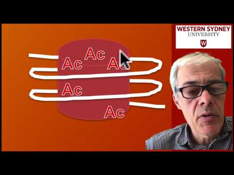 3.5 DNA methylation and acetylation