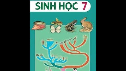 SINH 7. BÀI 48: BỘ THÚ HUYỆT, BỘ THÚ TÚI