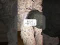 トイレの失敗