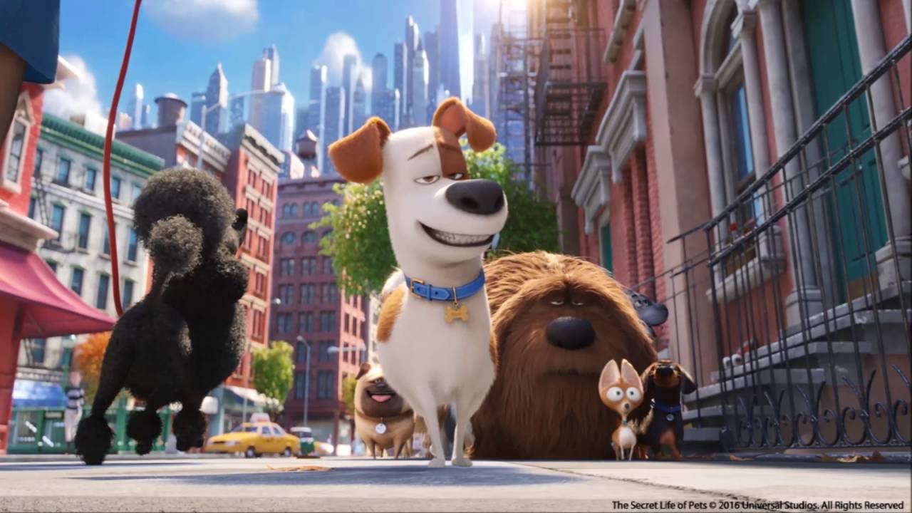 kinofilm pets kinofilm pets