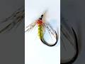 Olive Wet Fly. #flytying #flyfishing #wetfly #troutfishing #howtotie #shotaflies #Bestfly #wetfly