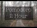 Pomodoro studylofi255252 hourstranquil path