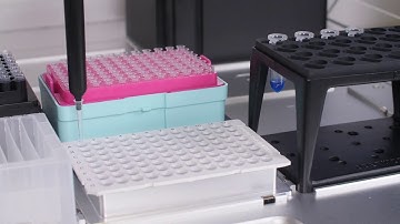 Automating PCR Prep with OT 2 Pipetting Robot