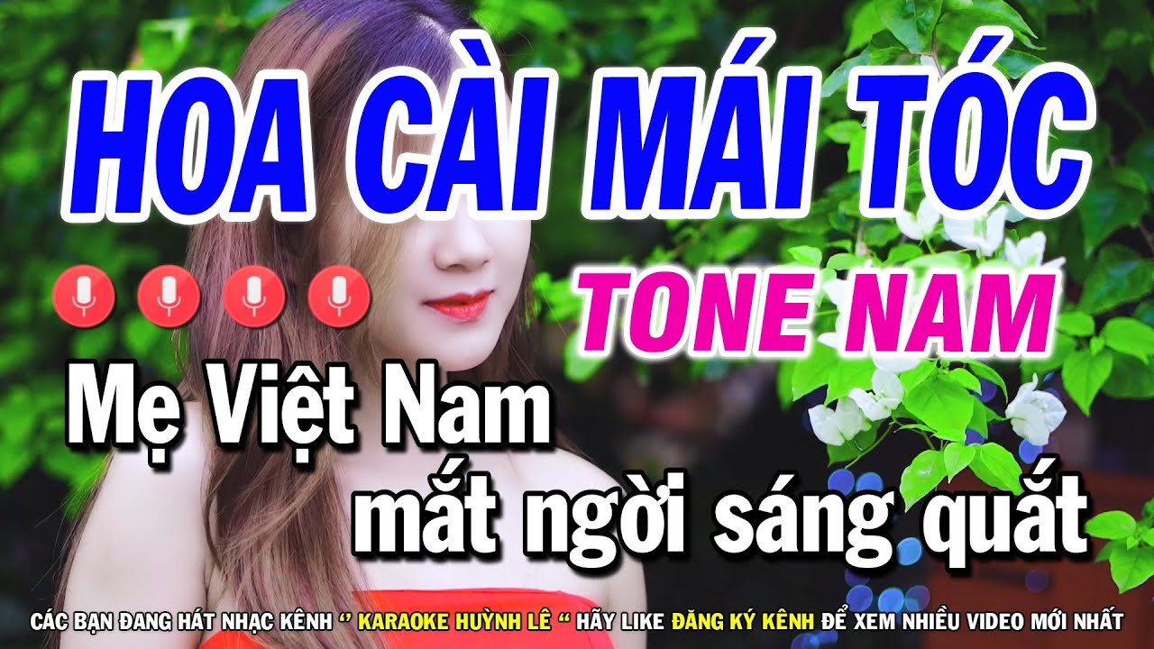 Liên Khúc Karaoke Trữ Tình Remix 2020 Tone Nam  Hoa Cài Mái Tóc  YouTube