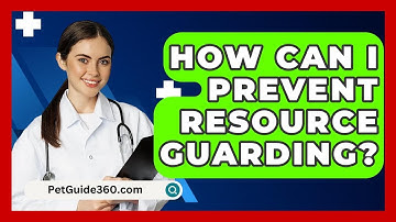 How Can I Prevent Resource Guarding? - PetGuide360.com