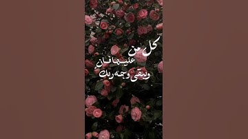 جمال الصوت والمنظر ❤️‍🔥}{#المنشاوي_قارئ_القلوب #محمد_صديق_المنشاوي }{تلاوات خالدة حالات قصص قرانية}
