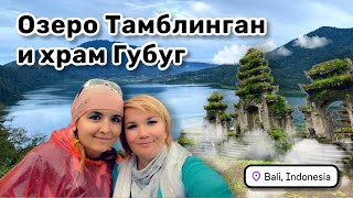 видео: 🌧️ 17. Озеро Тамблинган и храм Губуг. Закапывпем секретик для Мии. Трезвые ёжики едут сквозь облака. картинка: 🌧️ 17. Озеро Тамблинган и храм Губуг. Закапывпем секретик для Мии. Трезвые ёжики едут сквозь облака.