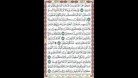 حفظ سورة البقرة صفحه 39 الشيخ ماهر المعيقلي مكررة 10 مرة
