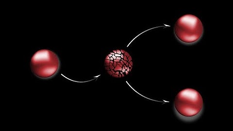 Cadenas de Markov en tiempo Continuo