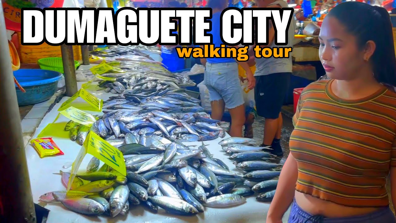 DUMAGUETE CITY, PHILIPPINES-Streets and Market scenes [4k]
