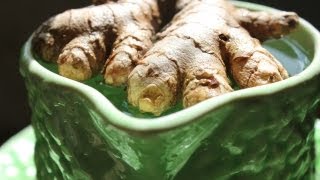 Home-grown Organic Turmeric & Ginger. Cultiver le curcuma et gingembre bio. Crecer cúrcuma orgánica