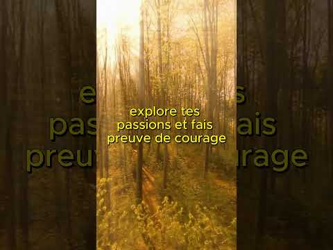 il n'est jamais