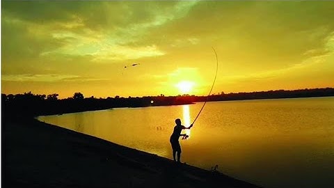 Câu Cá Giải Trí | Câu Hồ Tự Nhiên Dak Lak