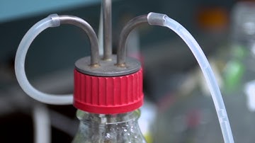 Sanitation for all: a pathway towards environmental and human justice