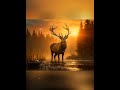 Hirsch, Stimmen des Waldes