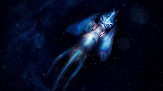 Jenny Haniver
