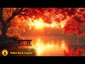 8 Hours, Zen Relaxing Music, Stress Relief Music, Sleep Music, Meditation Music, Calming Music, Lake