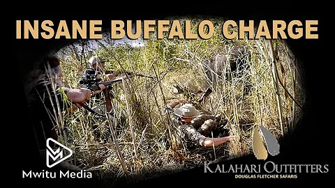 Insane Buffalo Charge - Caprivi