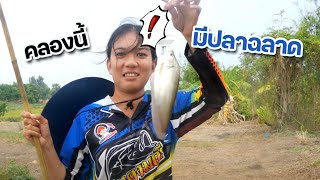 คันไม้ไผ่ ตกปลาฉลาด | เด็กตกปลา