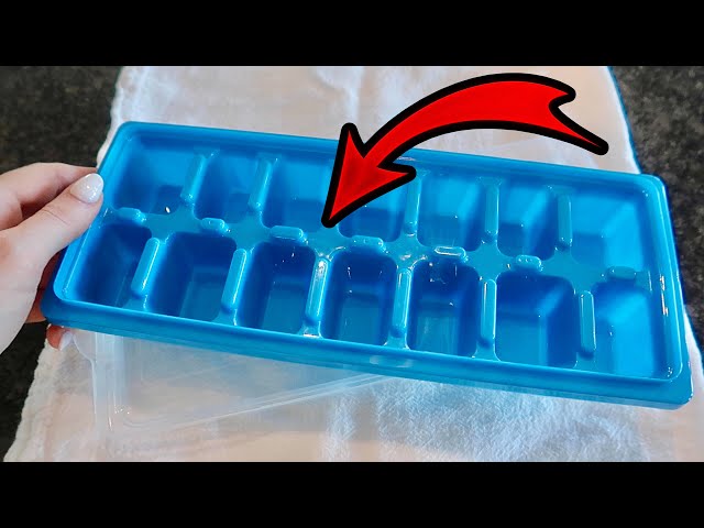 9 Best Ways to Use an Ice Cube Tray - MY 100 YEAR OLD HOME