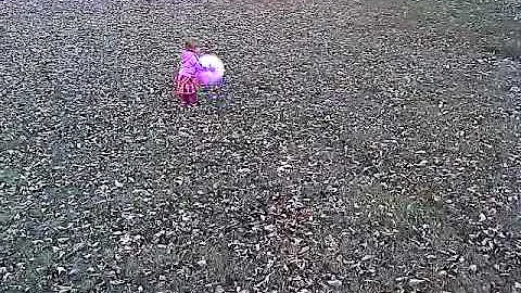Playing in the back yard