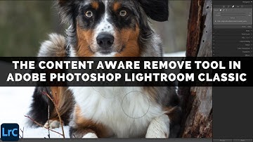 The Content Aware Remove Tool In Adobe Photoshop Lightroom Classic