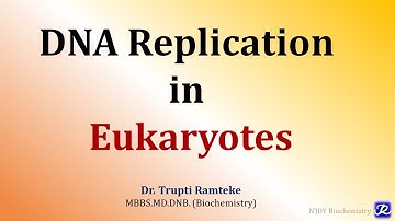 5: Replication in Eukaryotes | Molecular Biology| Biochemistry | N