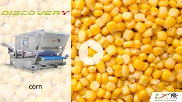 Discovery sorting machine for corn | RAYTEC VISION SpA