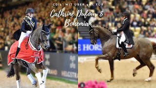 Cathrine Dufour und Bohemian mit über 90% 😱 | In der Kür | Danish Warmblood Show Herning