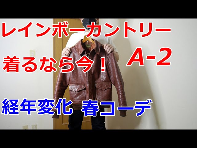 レインボーカントリー　L ネイビー アメカジ静岡 Barn Stormer:RAINBOW COUNTRY ALL STATEついに